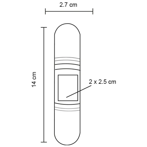 Aina – Set De Brochas Que
