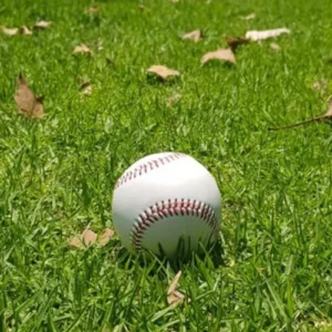 Koufax – Pelota De Baseball De Vinil