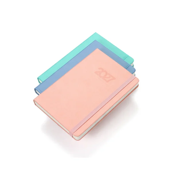 ex-086-gal-3 Agenda Diaria Falun.