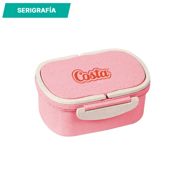 hm-047-gal-1 Contenedor Penang.