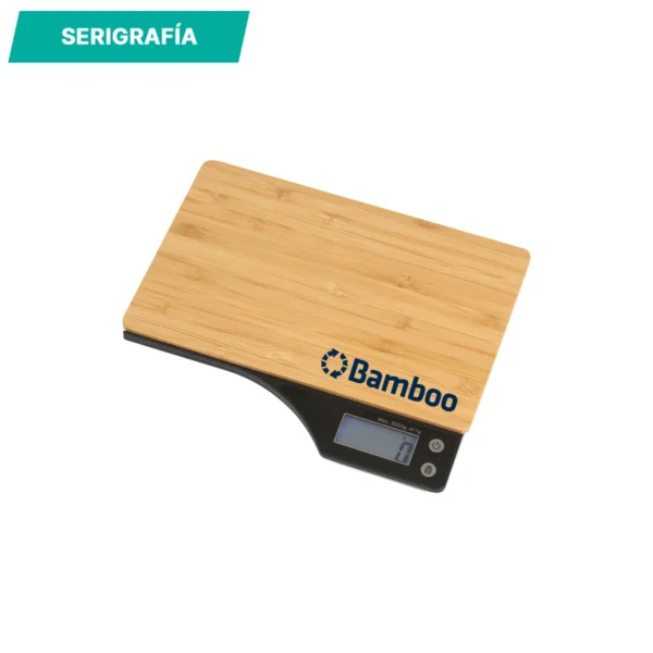 hm-076-gal-1 Báscula Borísov.