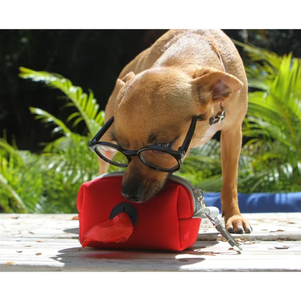 Porta Bolsas Rochor.