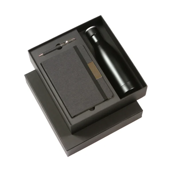 st-045-main Set Hegen.