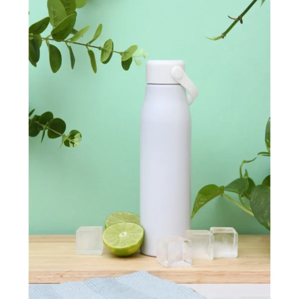 te-273-gal-1 Botella Vidin.