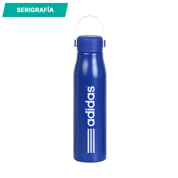 te-273-gal-4 Botella Vidin.