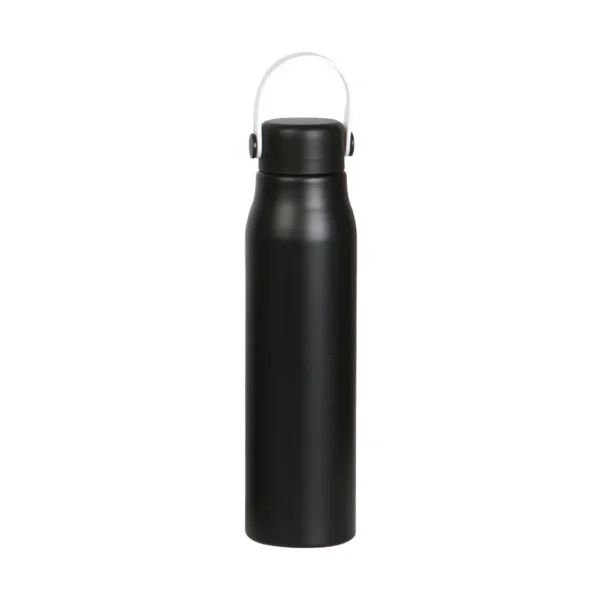 te-273-main Botella Vidin.