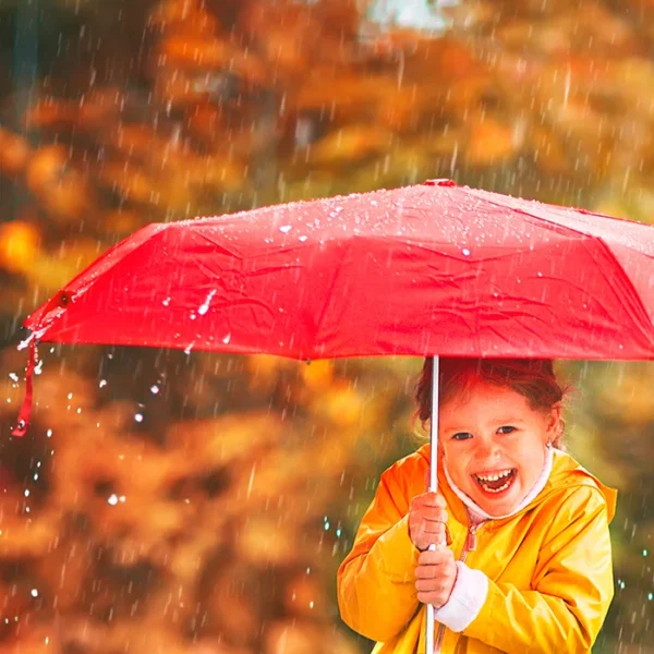 tx-044-gal-4 Paraguas Borneo.