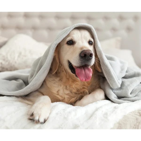 tx-203-gal-2 Frazada de Felpa Helsinki.