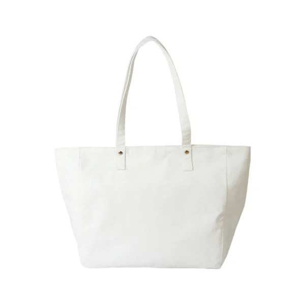 tx-379-main Bolsa Braslav.