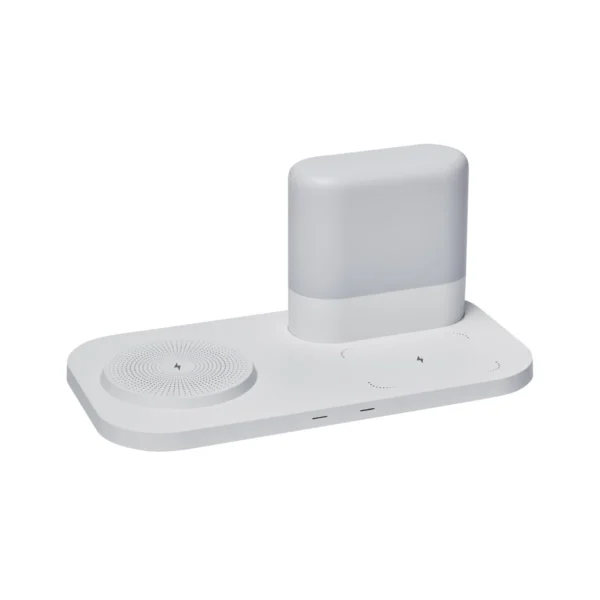 crg-050-main CARGADOR CON LÁMPARA LAMPPU