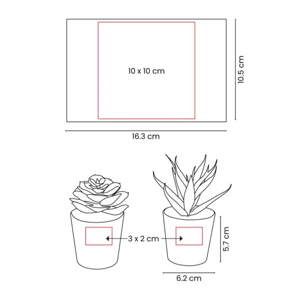 ktc-750-vec-1 SET DE PLANTAS ALISO