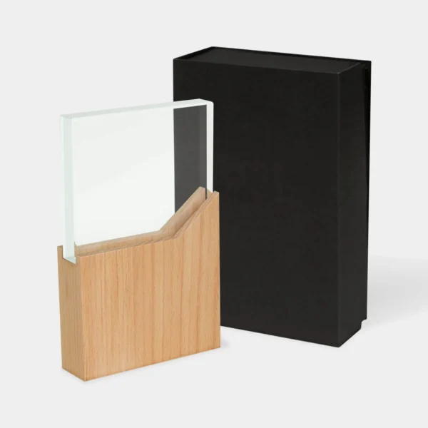 rmt-001-main RECONOCIMIENTO LYNOR