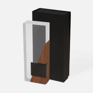 RECONOCIMIENTO AURIX