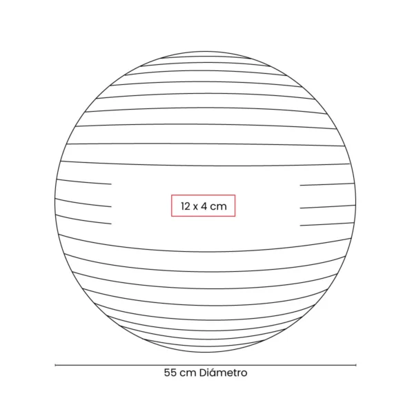 PELOTA DE PILATES WELLNESS